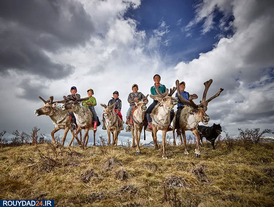 عکس‌های برتر جشنواره عکاسی سونی از سال 2012 تتا 2017