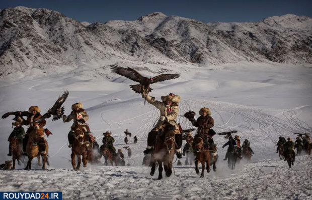 عکس‌های برتر جشنواره عکاسی سونی از سال 2012 تتا 2017