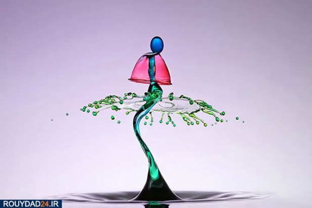 عکس‌های برتر جشنواره عکاسی سونی از سال 2012 تتا 2017