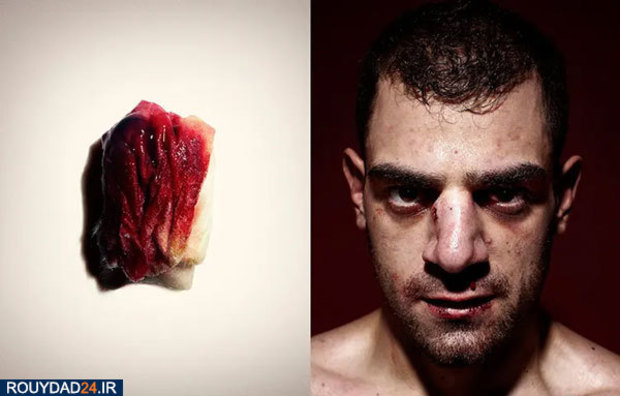 عکس‌های برتر جشنواره عکاسی سونی از سال 2012 تتا 2017