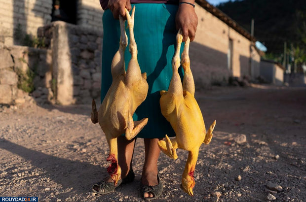 کودکان روستایی مسلح