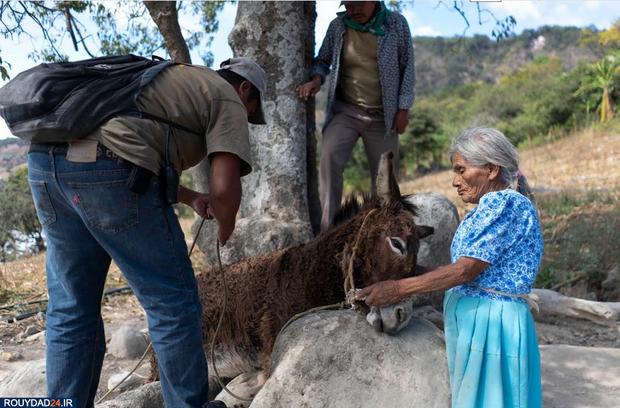 کودکان روستایی مسلح