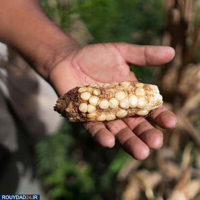 کودکان روستایی مسلح