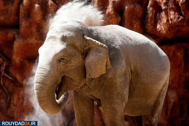 بهترین تصاویر روز یکشنبه