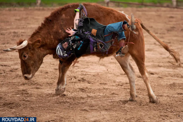 بهترین تصاویر روز یکشنبه