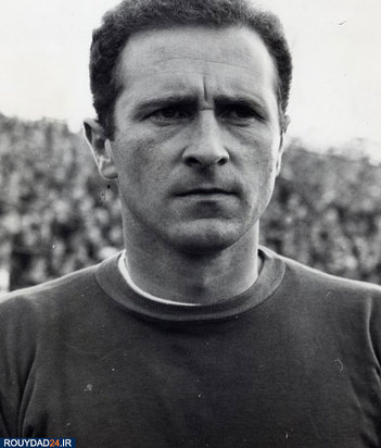 هری گرگ درگذشت