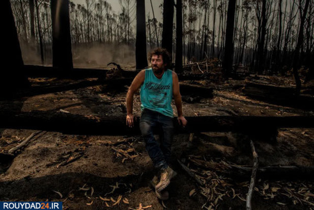 مالاکوتا در خاکسترهای اتشسوزی استرالیا