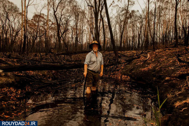 مالاکوتا در خاکسترهای اتشسوزی استرالیا