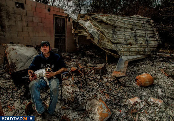 مالاکوتا در خاکسترهای اتشسوزی استرالیا