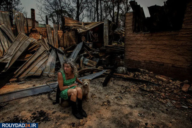 مالاکوتا در خاکسترهای اتشسوزی استرالیا