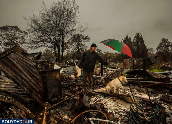 مالاکوتا در خاکسترهای اتشسوزی استرالیا