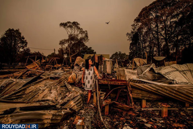 مالاکوتا در خاکسترهای اتشسوزی استرالیا