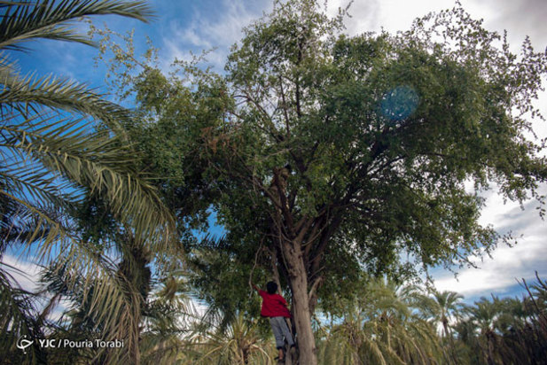 اندوه پنهان کودکان قلعه گنج