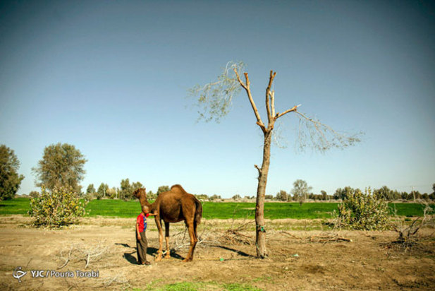 اندوه پنهان کودکان قلعه گنج