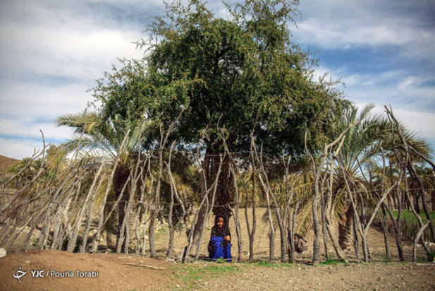 اندوه پنهان کودکان قلعه گنج