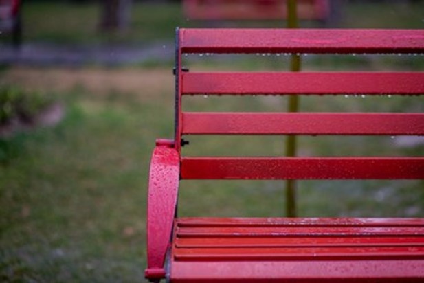 بارش باران در تهران