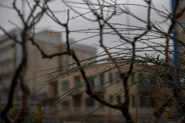 بارش باران در تهران