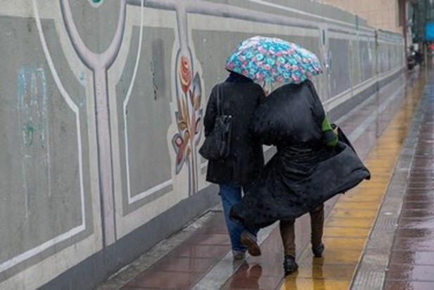 بارش باران در تهران