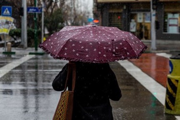 بارش باران در تهران