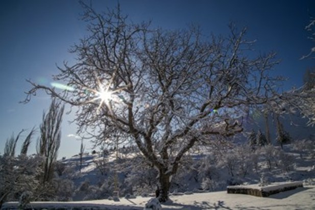 طبیعت زمستانی سنندج