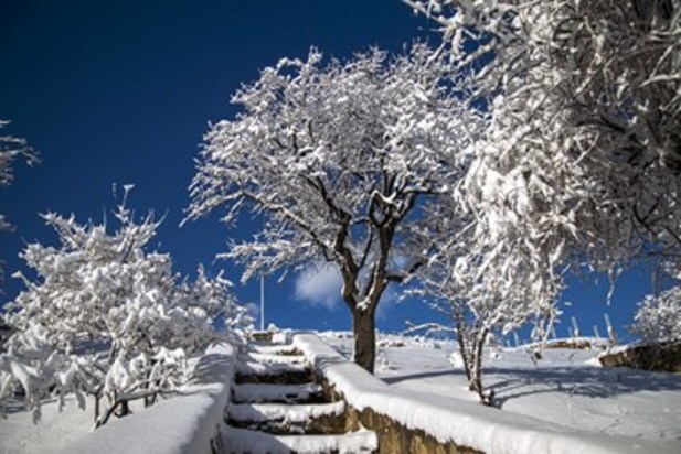 طبیعت زمستانی سنندج