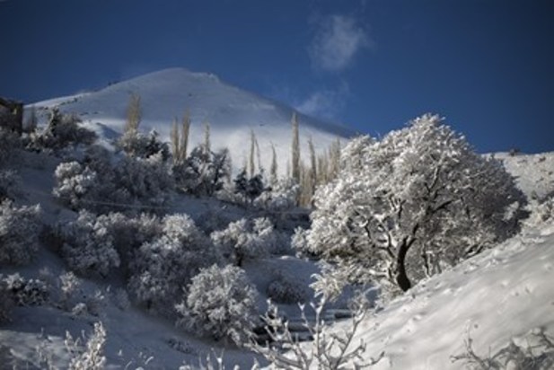 طبیعت زمستانی سنندج