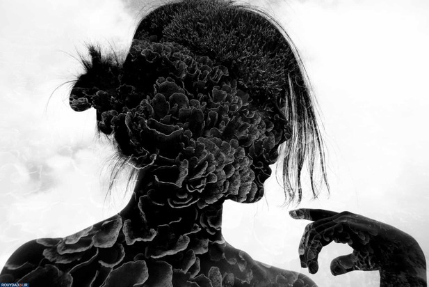 برندگان عکاسی زیر آب2020