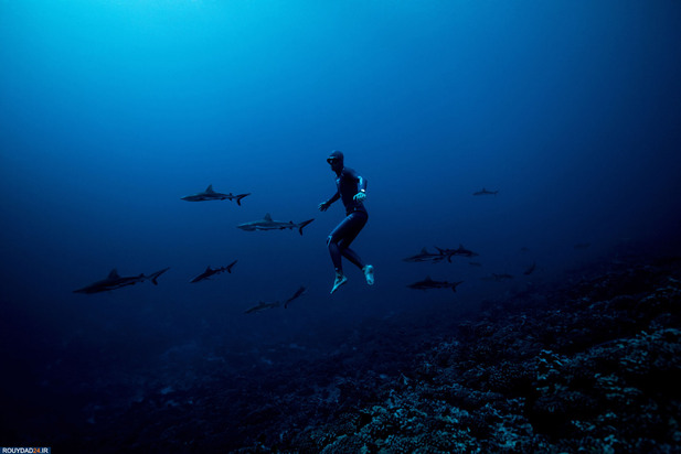 شیرجه زیر اب