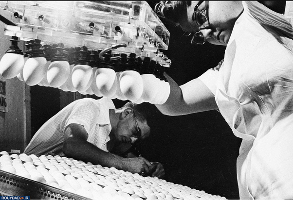 تاریخ در آنفولانزا