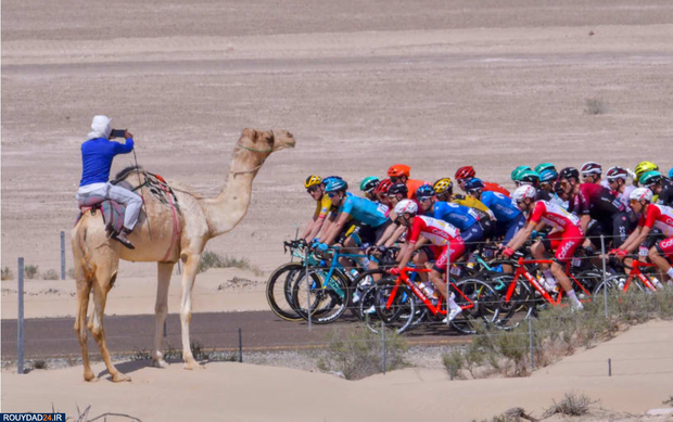 بهترین تصاویر ورزشی