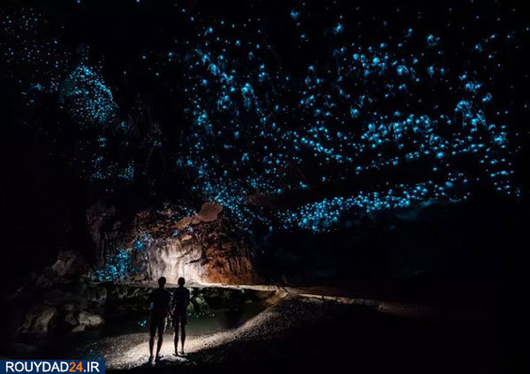 زیباترین عارهای چهان