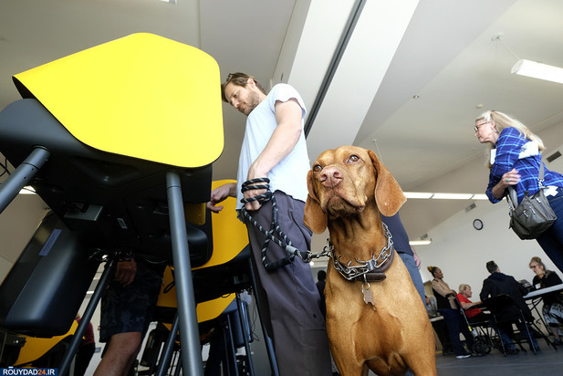 جو بایدن سه‌شنبه بزرگ را برد