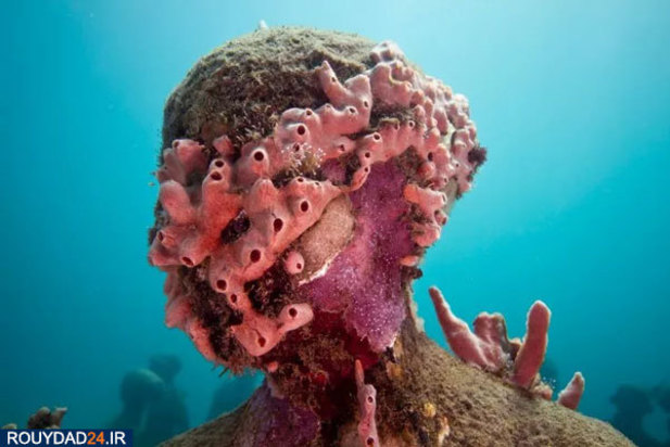 هنر خلاقانه در زیر اقیانوس