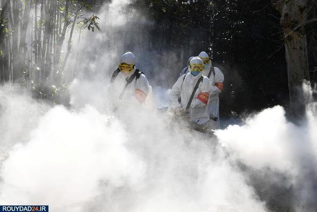 زندگی در عصر کرونا