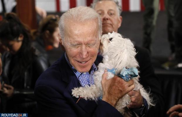 اسبها و سگها در انتخابات امریکا