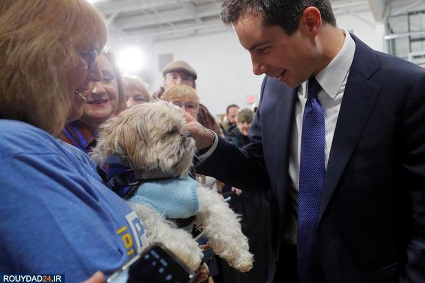 اسبها و سگها در انتخابات امریکا