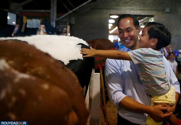 اسبها و سگها در انتخابات امریکا