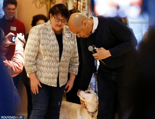 اسبها و سگها در انتخابات امریکا