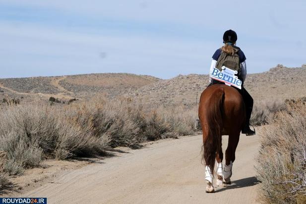اسبها و سگها در انتخابات امریکا
