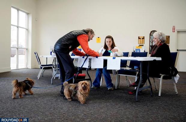 اسبها و سگها در انتخابات امریکا