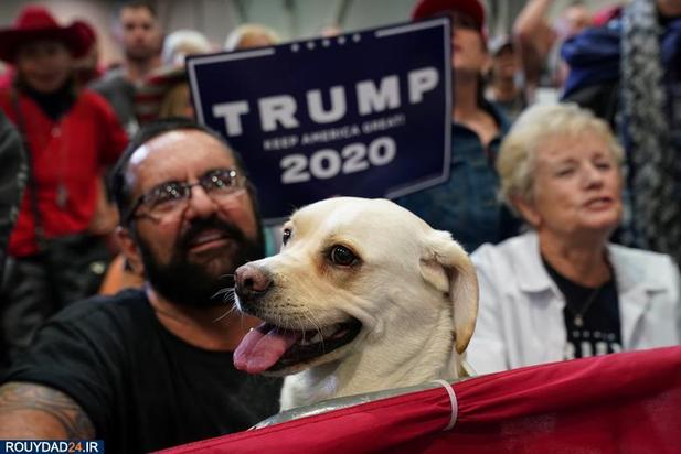 اسبها و سگها در انتخابات امریکا