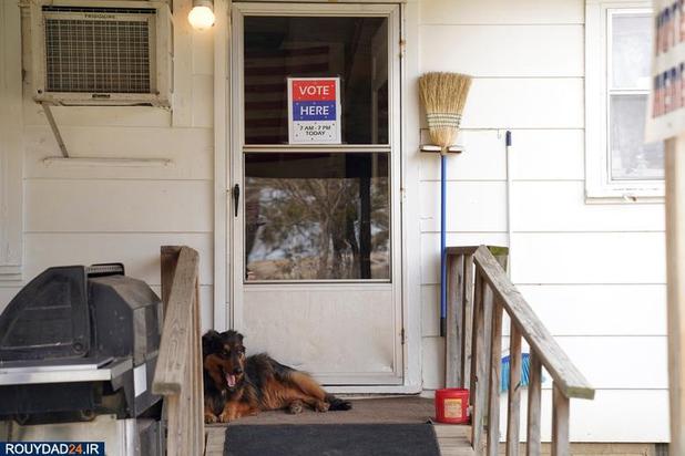 اسبها و سگها در انتخابات امریکا
