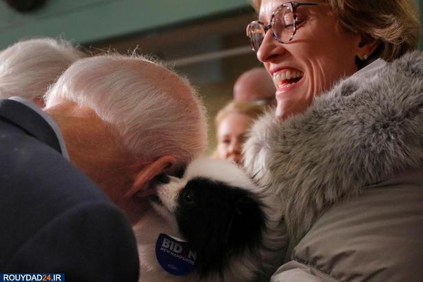 اسبها و سگها در انتخابات امریکا