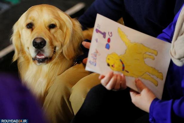 اسبها و سگها در انتخابات امریکا