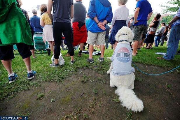 اسبها و سگها در انتخابات امریکا