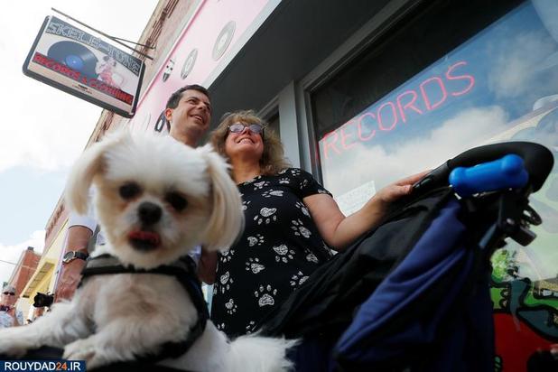 اسبها و سگها در انتخابات امریکا