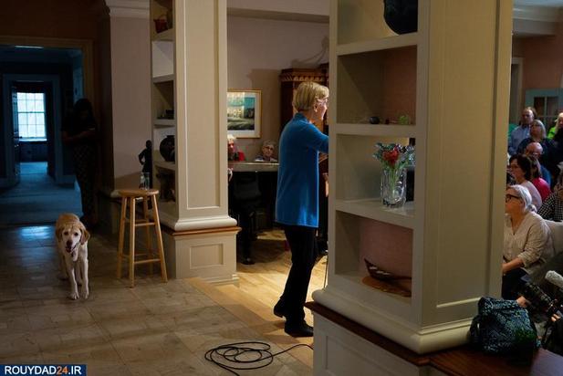 اسبها و سگها در انتخابات امریکا