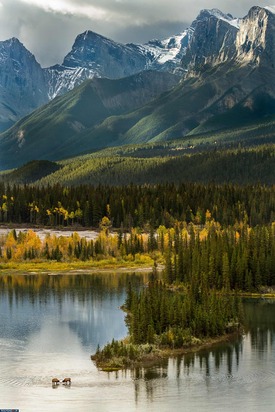 برندگان عکاسی حیات وحش