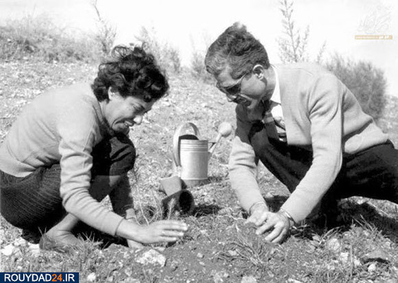 سیمین دانشور