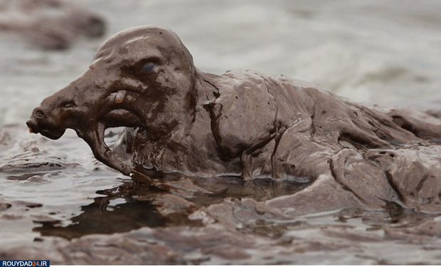 وحشتناک‌ترین تصاویر محیط زیست